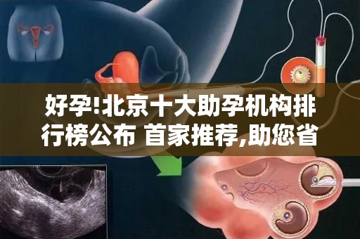好孕!北京十大助孕机构排行榜公布 首家推荐,助您省钱省心