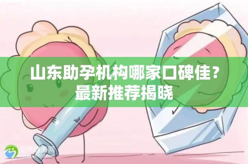 山东助孕机构哪家口碑佳？最新推荐揭晓