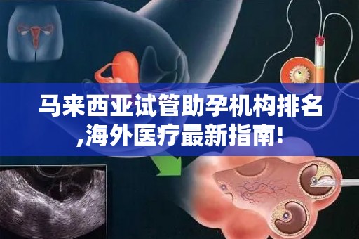 马来西亚试管助孕机构排名,海外医疗最新指南!