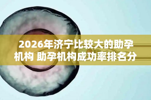 2026年济宁比较大的助孕机构 助孕机构成功率排名分享