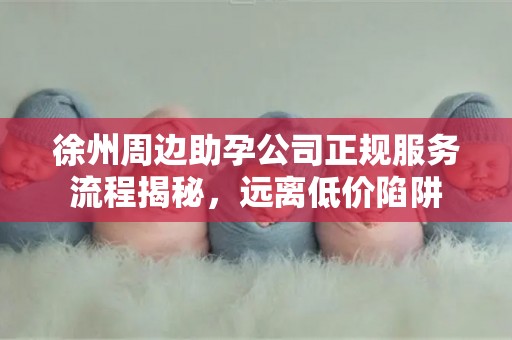 徐州周边助孕公司正规服务流程揭秘，远离低价陷阱