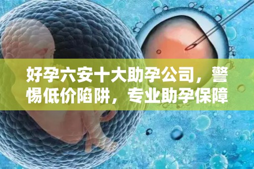 好孕六安十大助孕公司，警惕低价陷阱，专业助孕保障