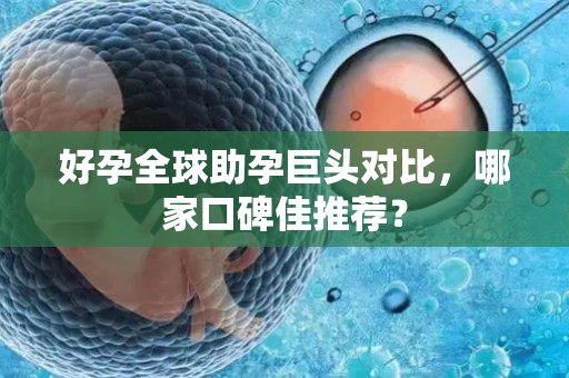 好孕全球助孕巨头对比，哪家口碑佳推荐？