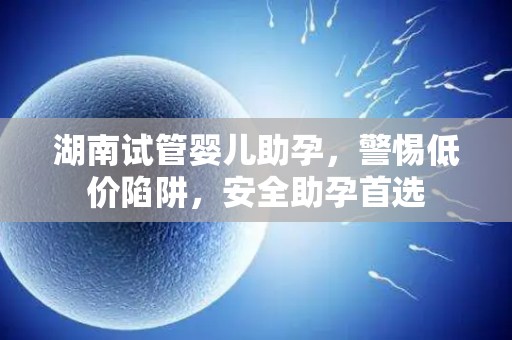 湖南试管婴儿助孕，警惕低价陷阱，安全助孕首选