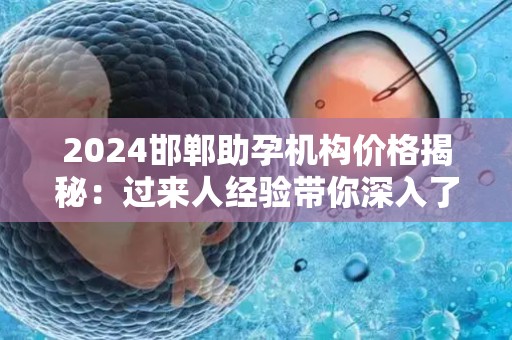 2024邯郸助孕机构价格揭秘：过来人经验带你深入了解