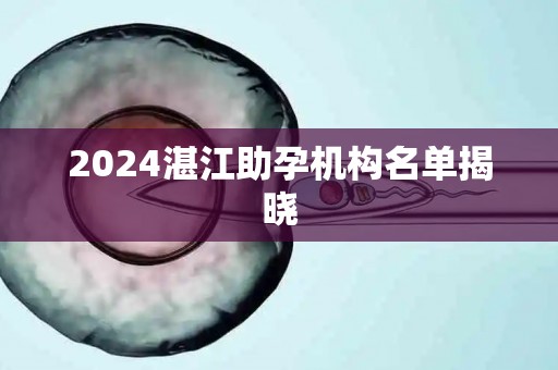 2024湛江助孕机构名单揭晓