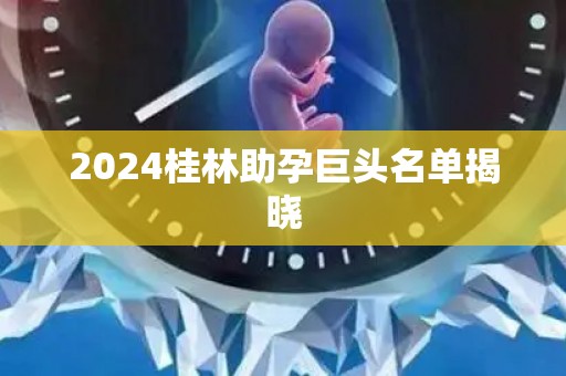 2024桂林助孕巨头名单揭晓