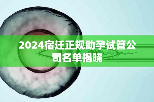 2024宿迁正规助孕试管公司名单揭晓