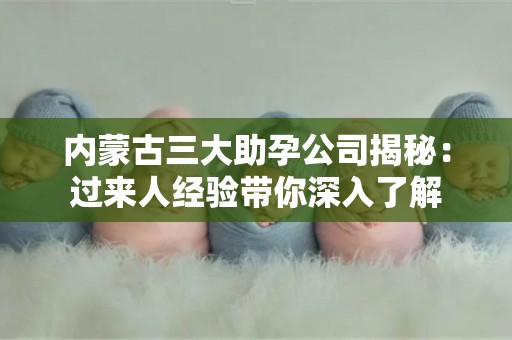 内蒙古三大助孕公司揭秘：过来人经验带你深入了解