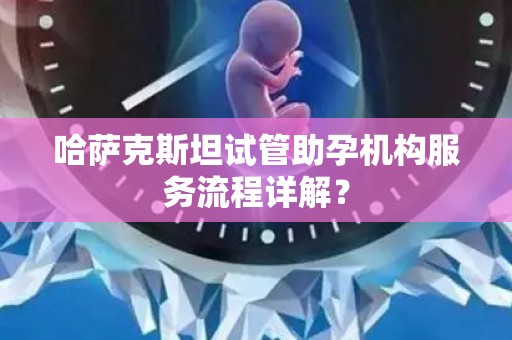 哈萨克斯坦试管助孕机构服务流程详解？