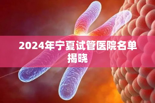 2024年宁夏试管医院名单揭晓