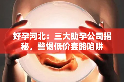 好孕河北：三大助孕公司揭秘，警惕低价套路陷阱