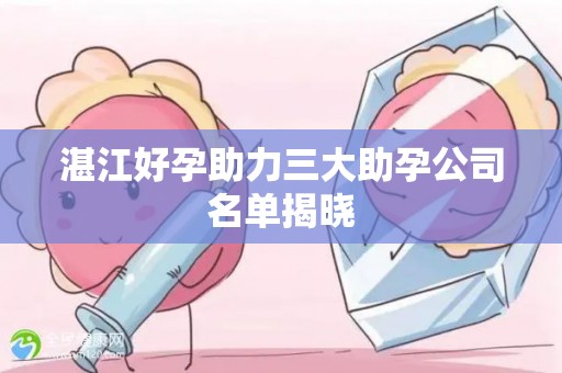 湛江好孕助力三大助孕公司名单揭晓