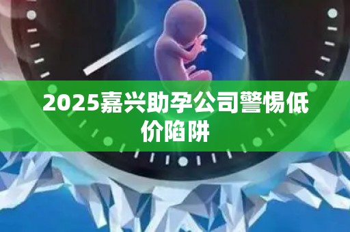 2025嘉兴助孕公司警惕低价陷阱