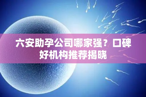 六安助孕公司哪家强？口碑好机构推荐揭晓