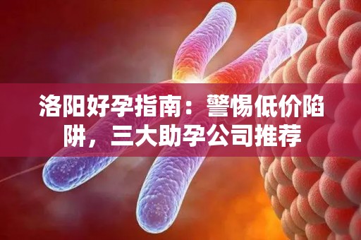 洛阳好孕指南：警惕低价陷阱，三大助孕公司推荐