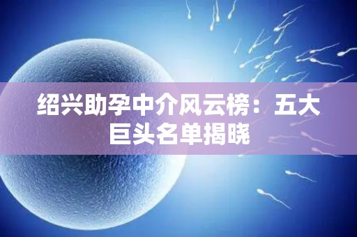 绍兴助孕中介风云榜：五大巨头名单揭晓