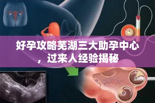 好孕攻略芜湖三大助孕中心，过来人经验揭秘
