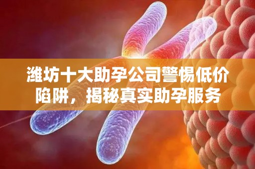 潍坊十大助孕公司警惕低价陷阱，揭秘真实助孕服务