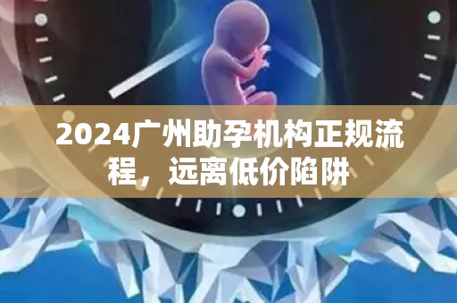 2024广州助孕机构正规流程，远离低价陷阱