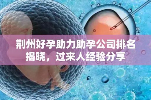 荆州好孕助力助孕公司排名揭晓，过来人经验分享