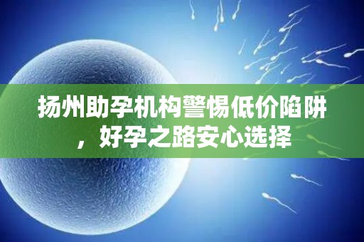 扬州助孕机构警惕低价陷阱，好孕之路安心选择
