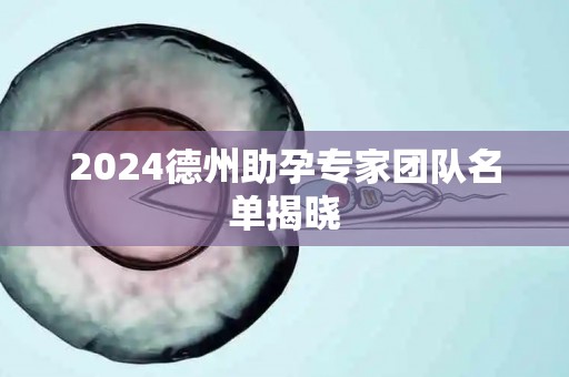 2024德州助孕专家团队名单揭晓