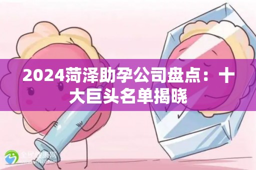 2024菏泽助孕公司盘点：十大巨头名单揭晓