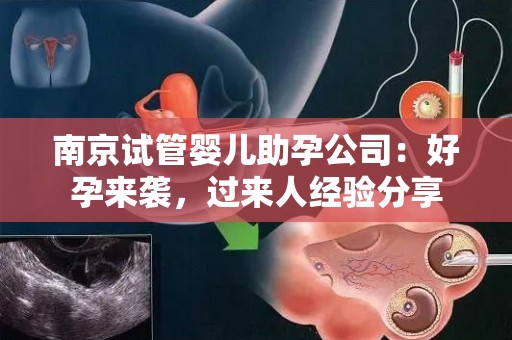 南京试管婴儿助孕公司：好孕来袭，过来人经验分享
