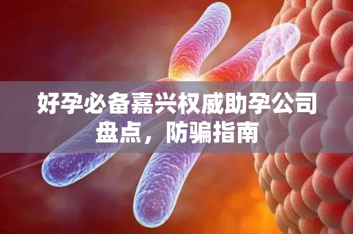 好孕必备嘉兴权威助孕公司盘点，防骗指南