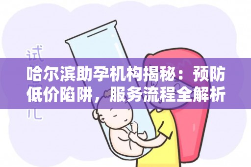 哈尔滨助孕机构揭秘：预防低价陷阱，服务流程全解析