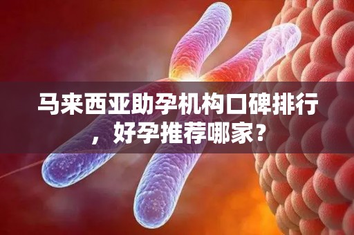 马来西亚助孕机构口碑排行，好孕推荐哪家？