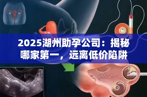 2025湖州助孕公司：揭秘哪家第一，远离低价陷阱
