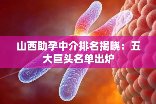山西助孕中介排名揭晓：五大巨头名单出炉
