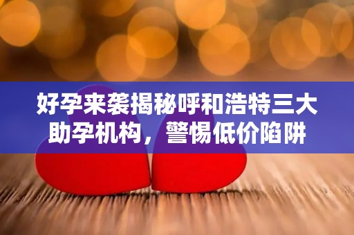 好孕来袭揭秘呼和浩特三大助孕机构，警惕低价陷阱