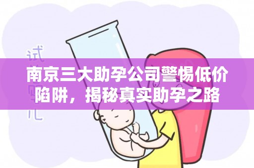 南京三大助孕公司警惕低价陷阱，揭秘真实助孕之路