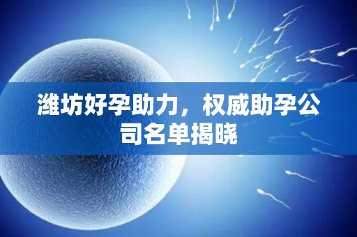 潍坊好孕助力，权威助孕公司名单揭晓