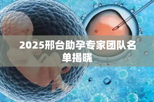 2025邢台助孕专家团队名单揭晓