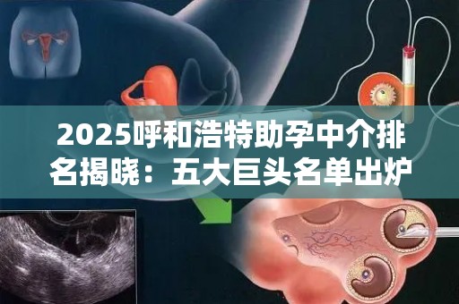 2025呼和浩特助孕中介排名揭晓：五大巨头名单出炉