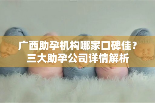 广西助孕机构哪家口碑佳？三大助孕公司详情解析