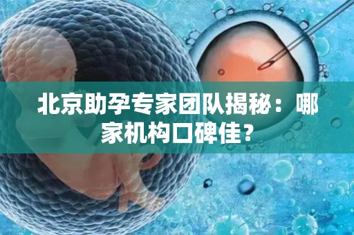 北京助孕专家团队揭秘：哪家机构口碑佳？
