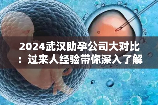2024武汉助孕公司大对比：过来人经验带你深入了解