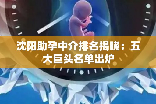 沈阳助孕中介排名揭晓：五大巨头名单出炉