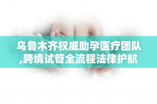 乌鲁木齐权威助孕医疗团队,跨境试管全流程法律护航指南!