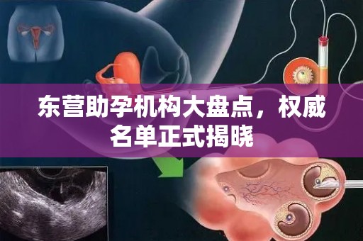 东营助孕机构大盘点，权威名单正式揭晓