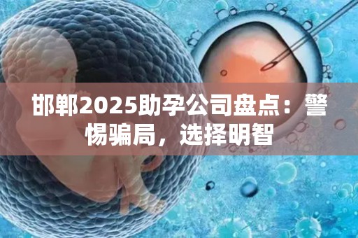 邯郸2025助孕公司盘点：警惕骗局，选择明智