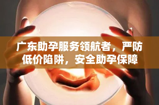 广东助孕服务领航者，严防低价陷阱，安全助孕保障