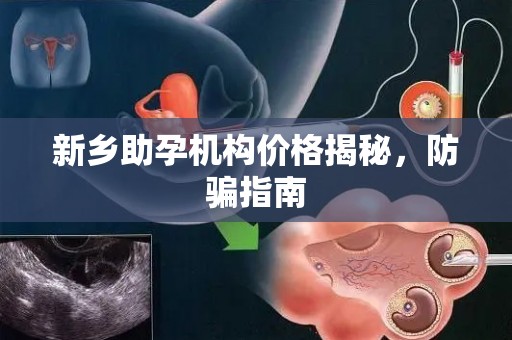 新乡助孕机构价格揭秘，防骗指南