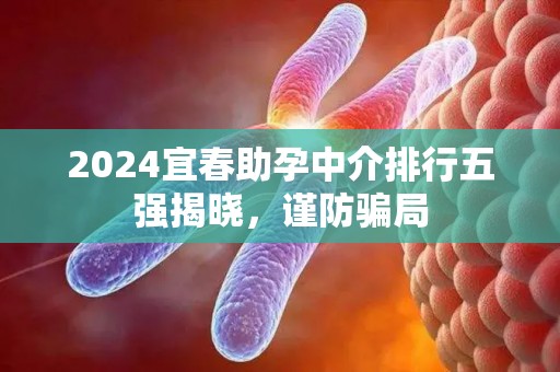 2024宜春助孕中介排行五强揭晓，谨防骗局