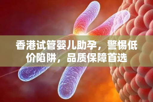 香港试管婴儿助孕，警惕低价陷阱，品质保障首选